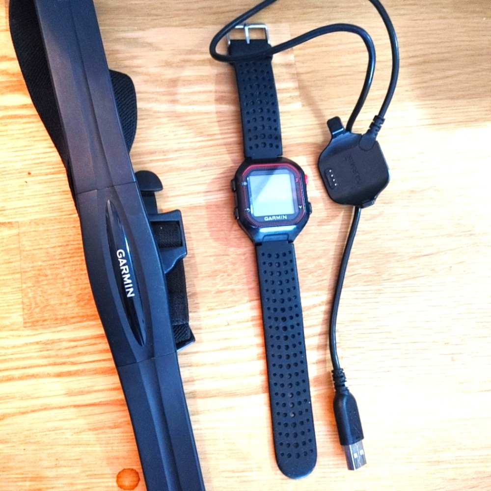 Garmin GPS watch
